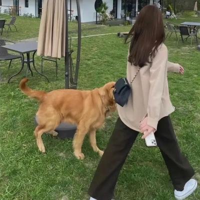 大河英雄传